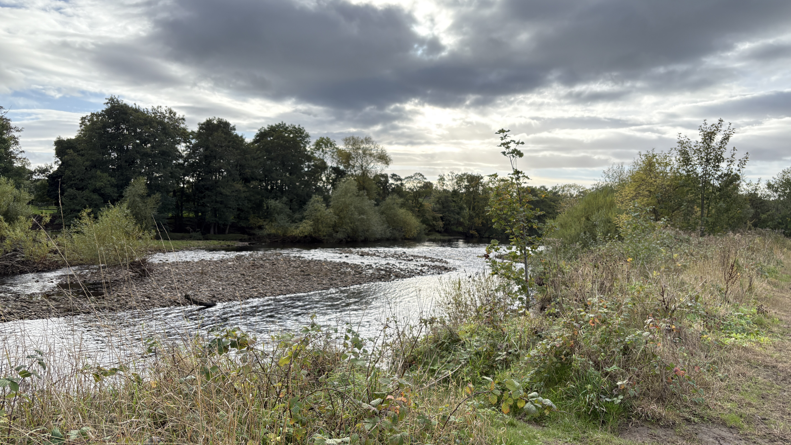 River Tees near High Coniscliffe