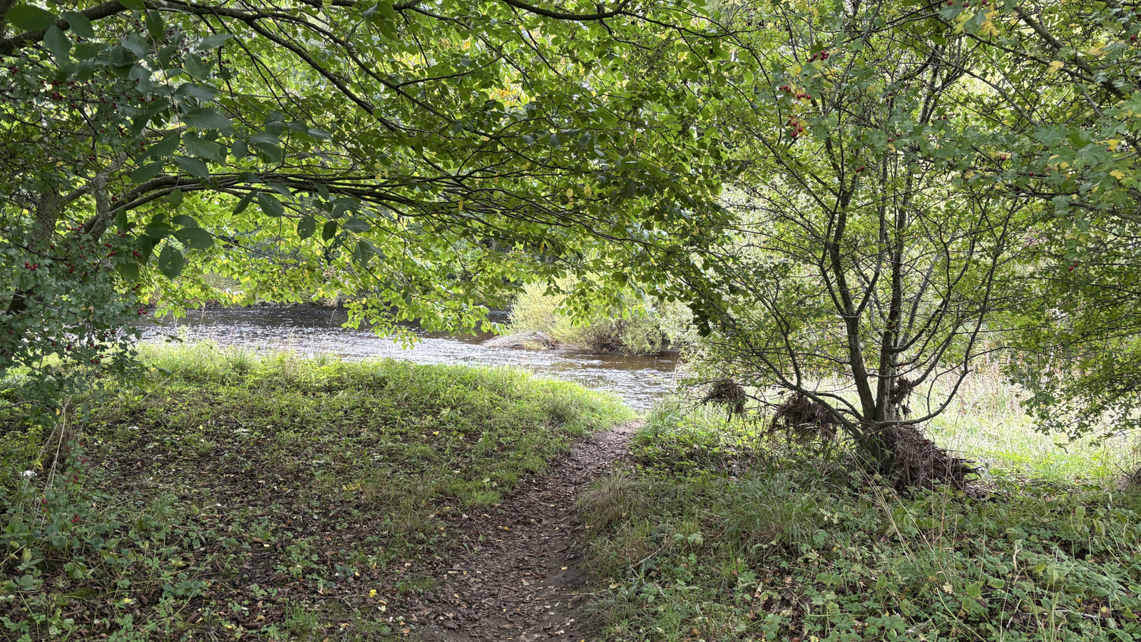 Riverside High Coniscliffe